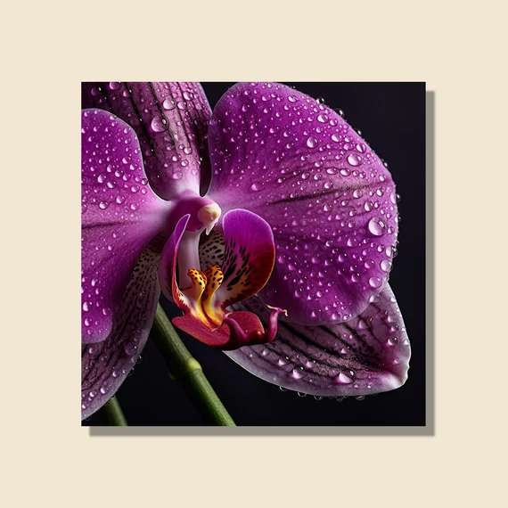 Dekorpanel lila orchidea